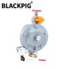 GT241 154F Engine LPG Dual Fuel Carburetor Reducer Assy Gasolina Petrol Generator Parts