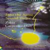 Into the Same Sound Twice by Zakia CarpenterHall Pamphlet Book 9781781727058