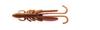 purchase x 8 Ecogear Lure Bug Ants 3 inch Shore Crab [Bulk sets] #217
