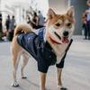 Pet Large Dog Raincoat Waterproof Fashion Multi Colors Rain Coat Pet Waterproof Jacket S-5XL Medium Large Dog Clothing Hoodies
