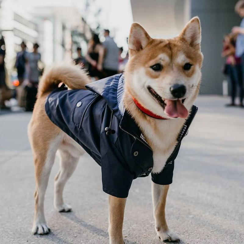 Pet Large Dog Raincoat Waterproof Fashion Multi Colors Rain Coat Pet Waterproof Jacket S-5XL Medium Large Dog Clothing Hoodies