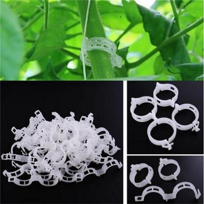 100PCS Garden Plant Flowers Tied Bundle Branch Clamp Clip Class Tools Flowers Vegetables Vine