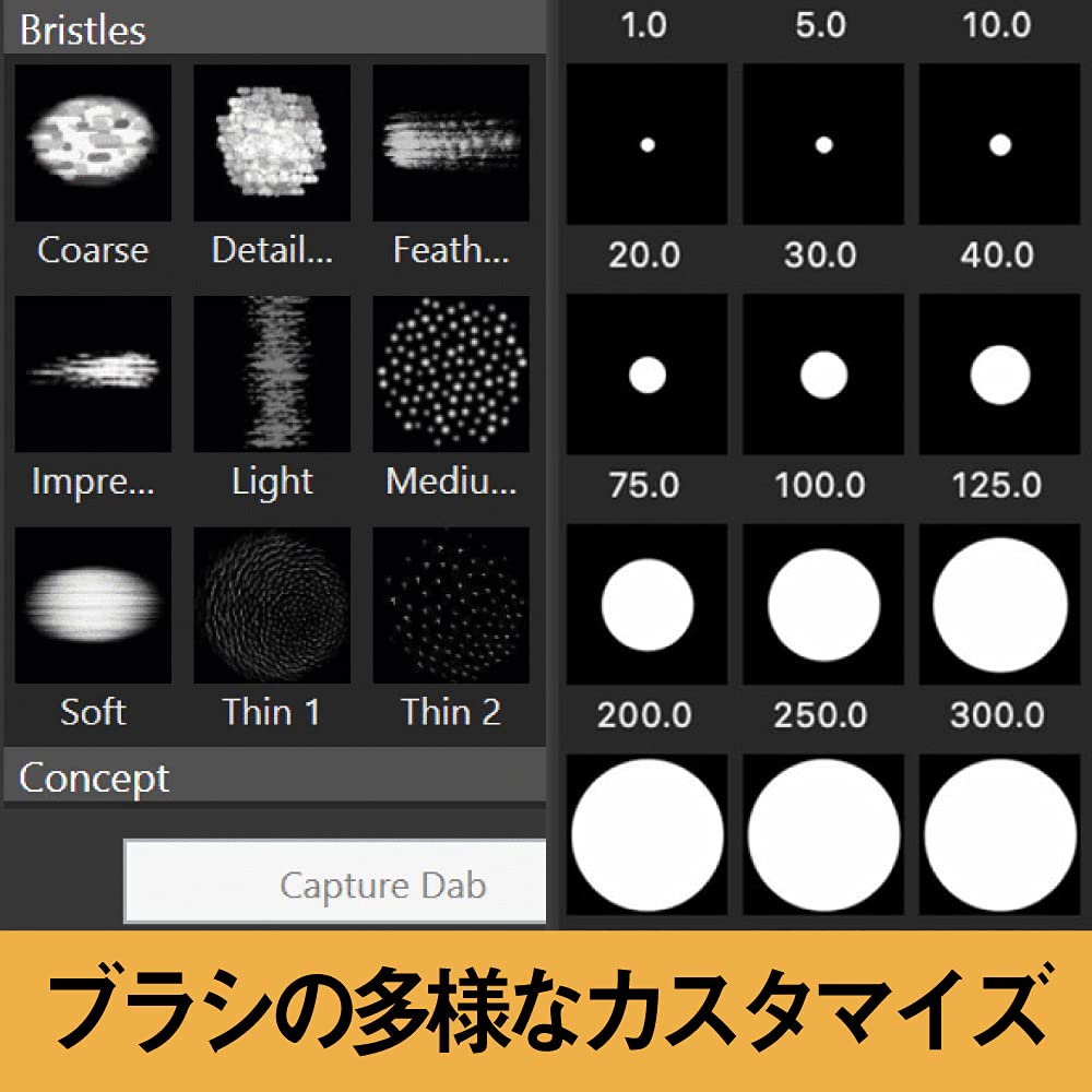 Windows үшін Corel Painter 2022 (ескі нұсқасы)