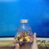 Transparent Dog Treat Jar Easy To Cleaning Dishwasher Safe Glass Container For Kitchen Countertop Storage