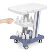 Medical Trolley Cart with Wheels Beauty Storage Utility Cart Rolling Cart for Dental Clinics Hospitals & Beauty Salons