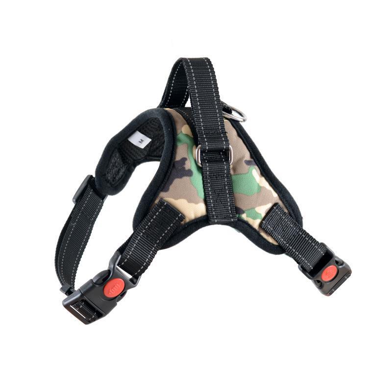 Verstellbare Hundeleine & Geschirr für mittelgroße bis große Hunde