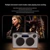 Malone Portable Bluetooth KTV Speaker Amplifier CN plug (adapter included)