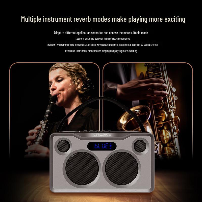 Malone Portable Bluetooth KTV Speaker Amplifier CN plug (adapter included)