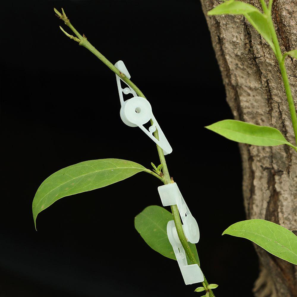 Funcții Stres redus Antrenament plante Cleme LST reutilizabile Controlează creșterea Dispozitiv de îndoire a plantelor la 90 de grade