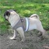Comfortable Cat Harness Escape Proof for All Sizes