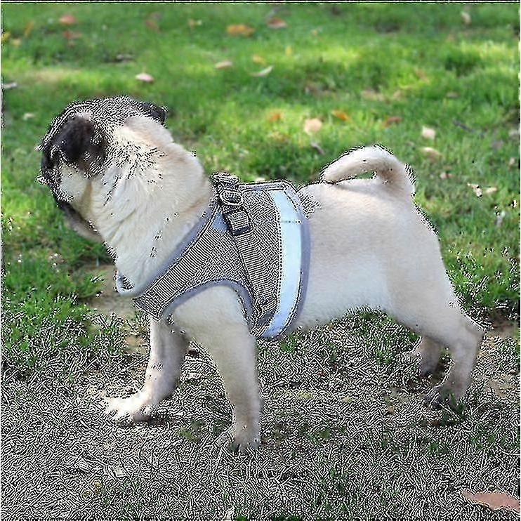 Comfortable Cat Harness Escape Proof for All Sizes