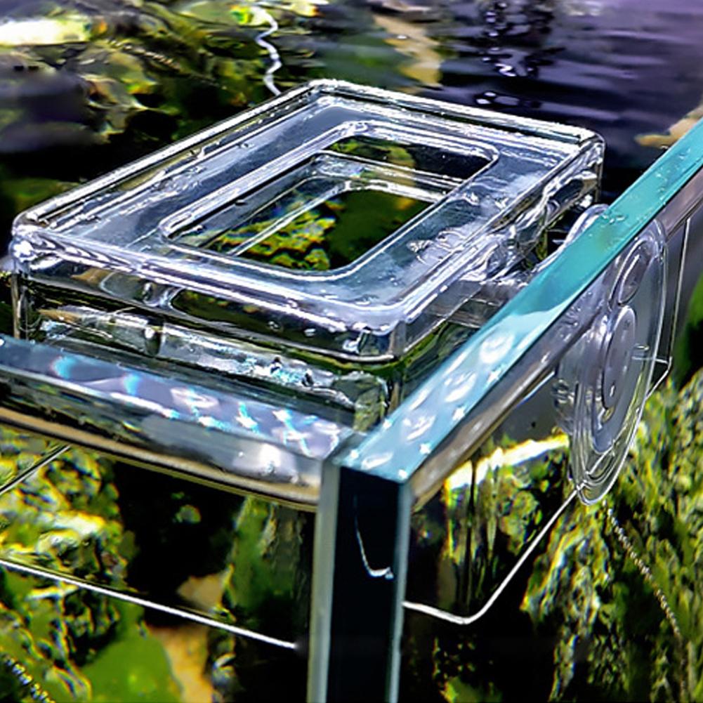 Acrylic Simple Installation Fish Food Feeder Feeding Ring for Fish Tank Aquarium with Suction Cup Less Than Br More