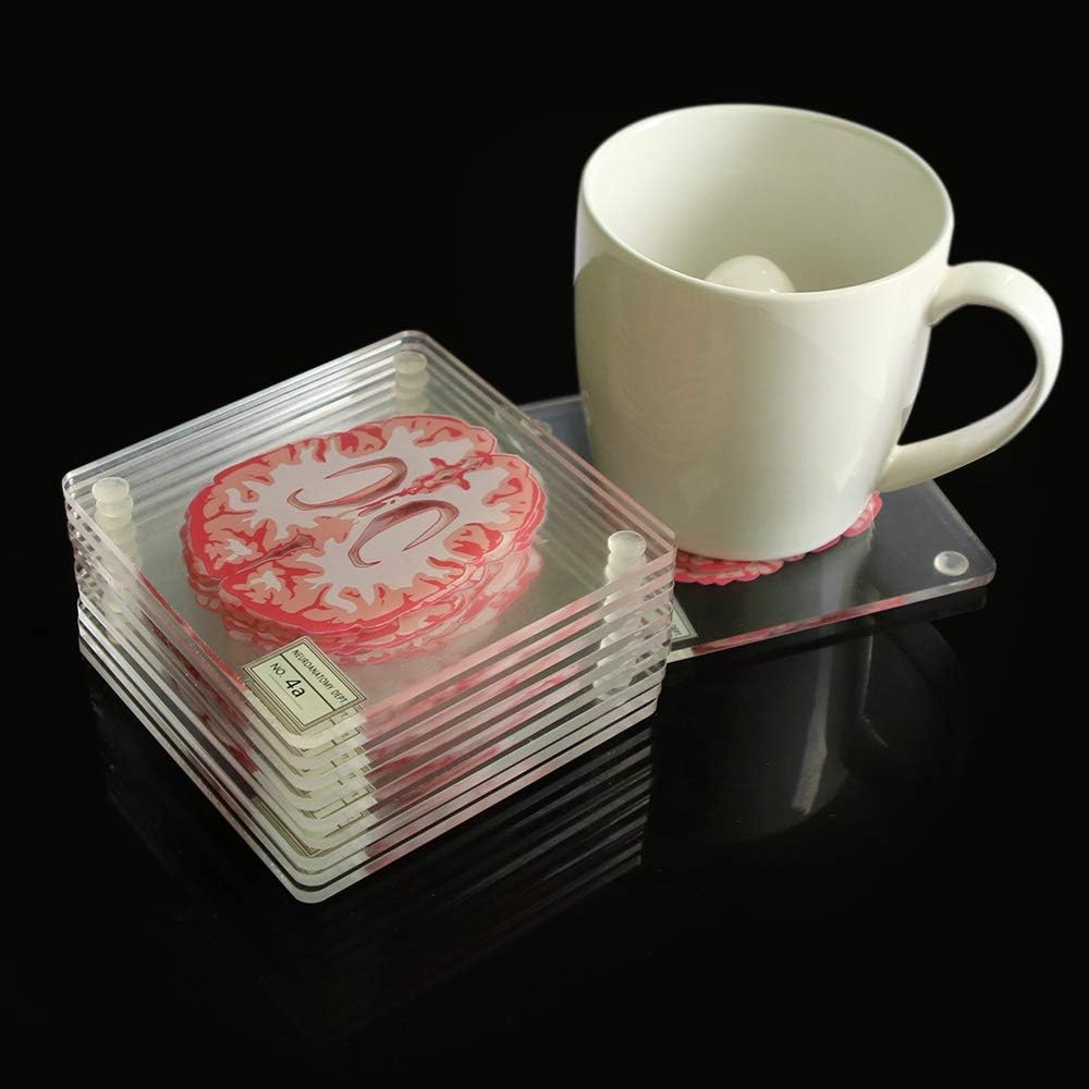 (Set of 10) 4   3D Brain Specimen Coasters, Funny Anatomic Brain Slices Square Acrylic Glass Drink Coasters Set for Neuroscience Medical Student