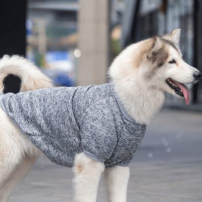 Abbigliamento e scarpe – Pullover per cani