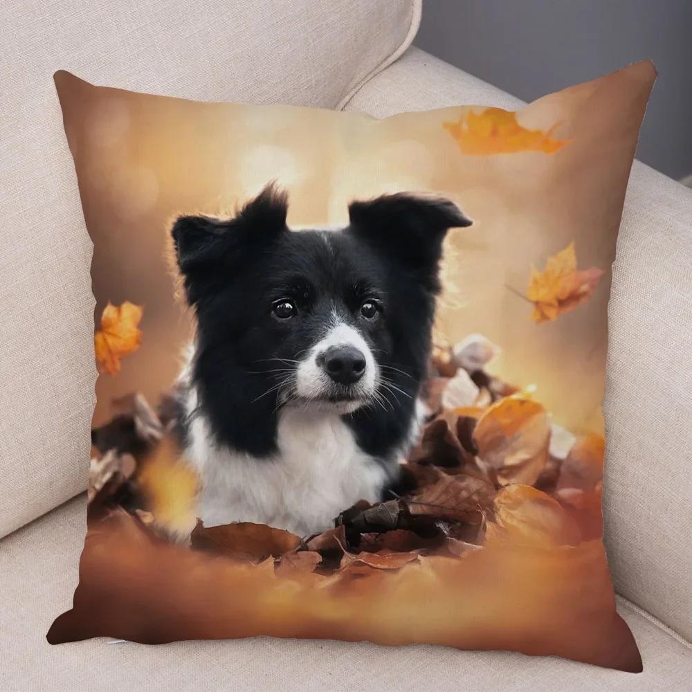 Morbida Peluche Carino Animale Domestico Copricuscino Scozia Border Collie Federa per Divano Auto Decorazione Cane Stampato Federa,(9)