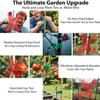 Reusable Plant Ties, Suitable for Climbing Plants, Planning Straps, Plant Tape Gardening,  Plant Support, Garden Cable Ties