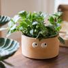 Creative Big Eye Cartoon Succulent Planter
