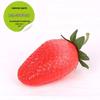 Foam Fruit Model Set: Educational Toy & Display with Plastic Apples, Bananas, Grapes for Kids