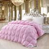 100% Pure Cotton Goose Down Comforter, Five-star Hotel Down Comforter, Winter Thick Comforter, Spring and Autumn Comforter