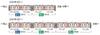 TOMYTEC TOMIX N Gauge JR 227 500 Series Urara 2-car Extension Set Railway Model Train 98156