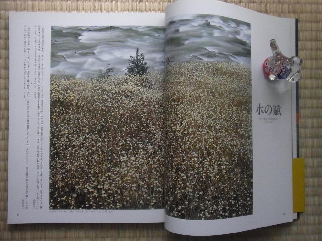 [USED] Showa Photo Complete Works SERIES13 Shinzo Maeda Art Photo Collection Asahi Shimbun