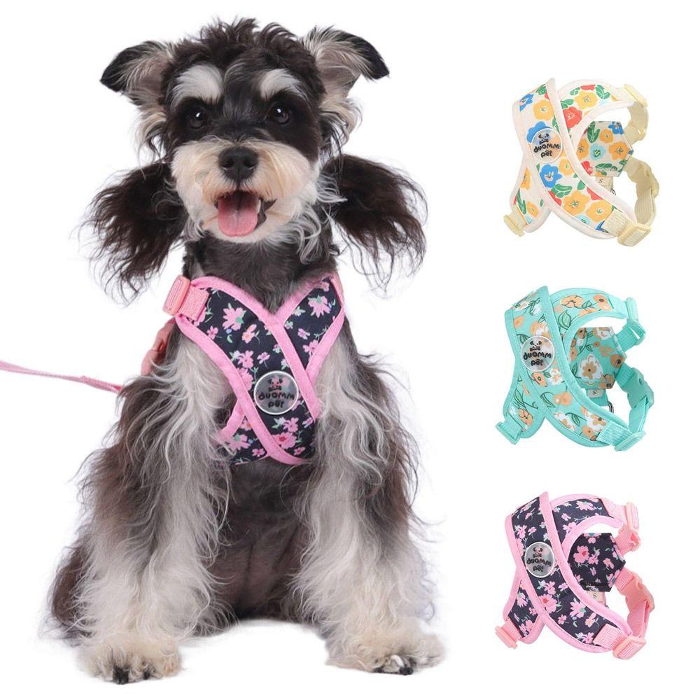 Verstellbares X-förmiges Hundegeschirr Weste Ausbruchsicheres Hundegeschirr und Leinen-Set für kleine und mittelgroße Hunde
