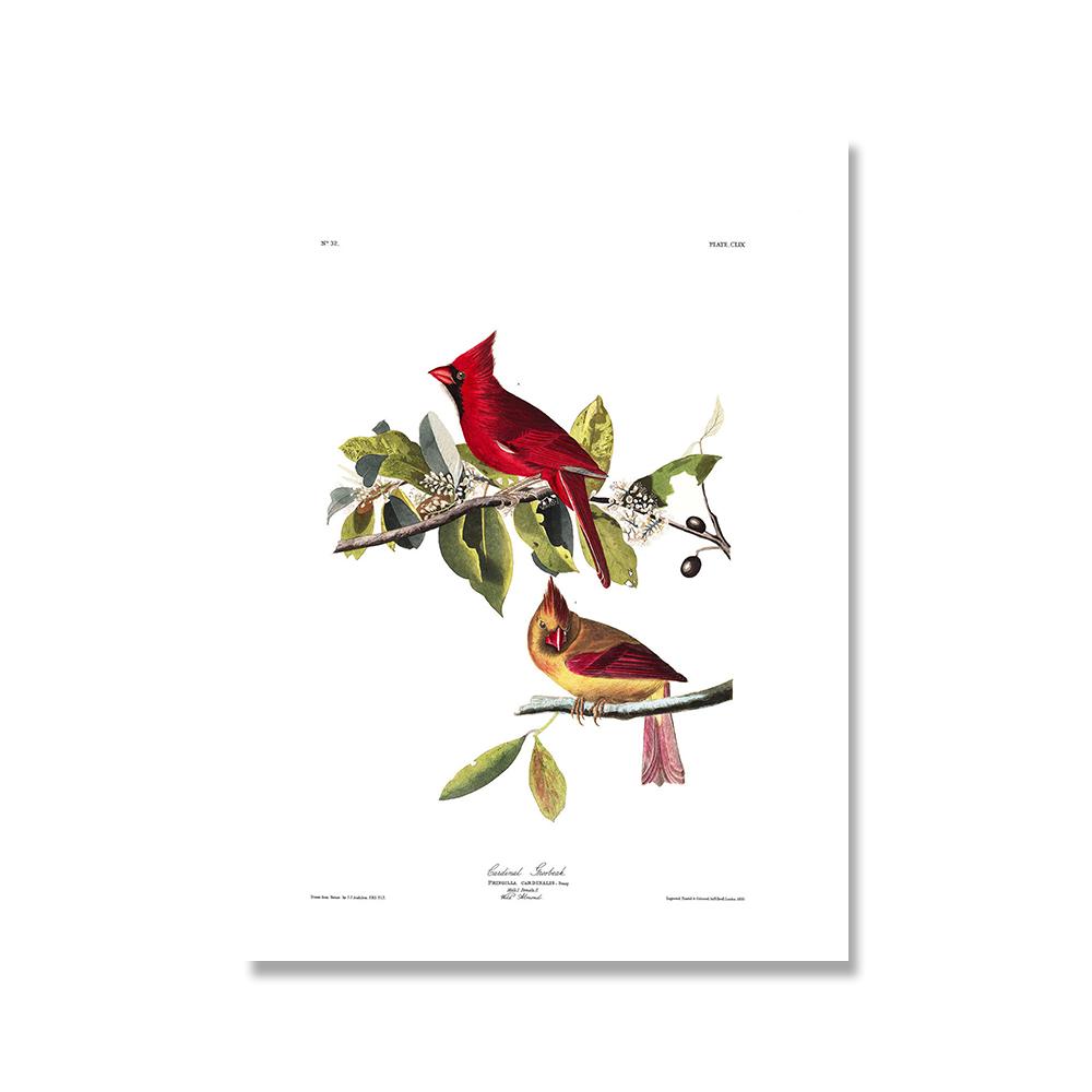 Retro American Birds Illustrations Print Vintage Poster Bird Tree Wall Art Canvas Painting For Living Room Home Decor No Frame (with Frame)