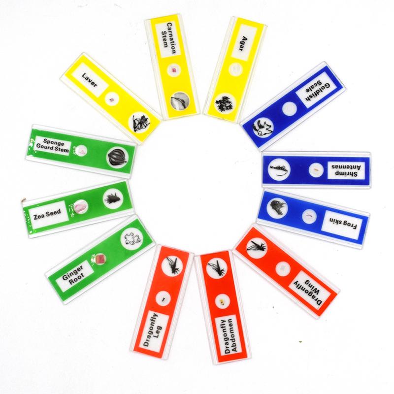 12pcs/set Plastic Microscope Slides Biological Specimen with for Children Student Microscope