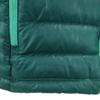 Patagonia 84683FA15 einpackbare Daunenjacke M grün Outdoor Damen Gebraucht