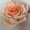 Rose Premium Silk Bouquet For Wedding Ceremony And Event Decoration Fashion