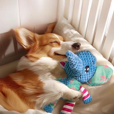 Perros – Juguetes para perros