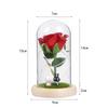 Immortal Rose Night Light with Gold Powder In Glass Dome – Qixi Festival Floral Ornament