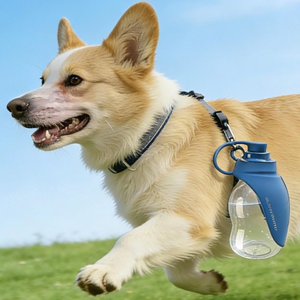 Lekdichte Opvouwbare Hond Waterfles Afneembare Huisdier Drinkbak Huisdier Voedseldispenser Kamperen