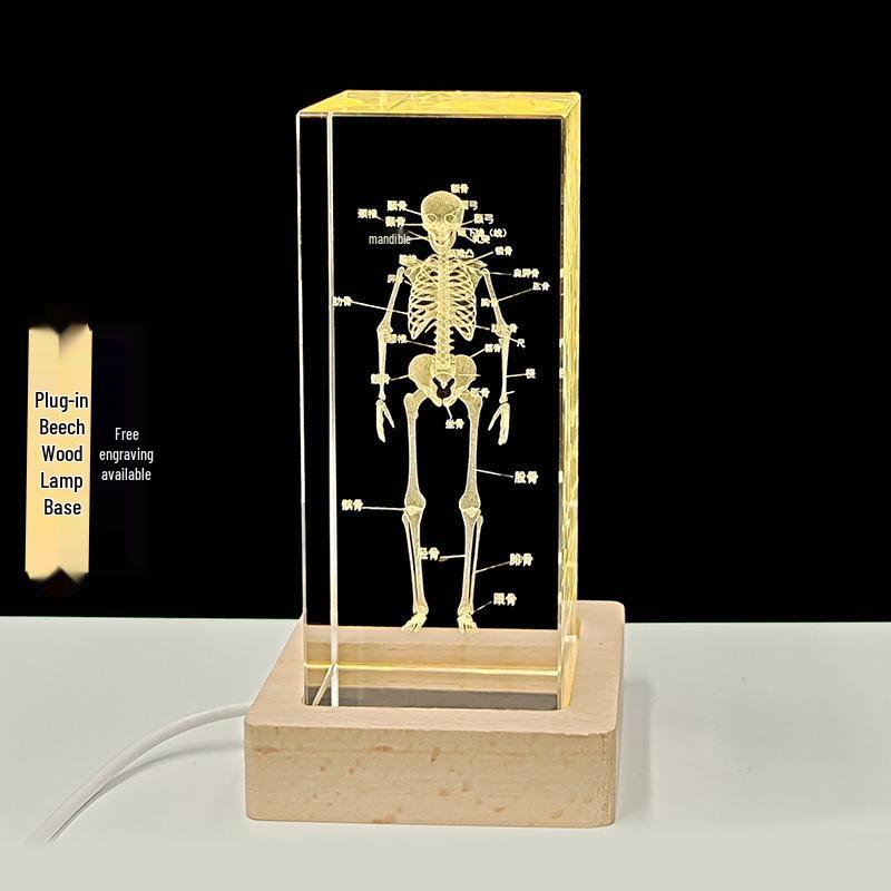 3D Carved Skeleton Brain Model Ornament - White Crystal Souvenir for Medical Students and Doctors
