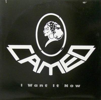 12inch Record CAMEO - I Want It Now 8755891 Atlanta Artists 1990 US Soul/Funk Used