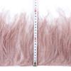 Feather1Meter Ostrich Feathers Fringe Trimming String 10-15/15-18/18-22cm Plumes Ribbon For Crafts Dress Sewing Accessories