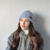 Autumn and Winter Hats for Women's New Korean Knitted Hats Versatile Warm Ear Protection and Thickened Fashionable Wool Hats