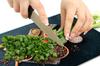 GLASS PLATE CUTTING BOARD 52x40 SPICES