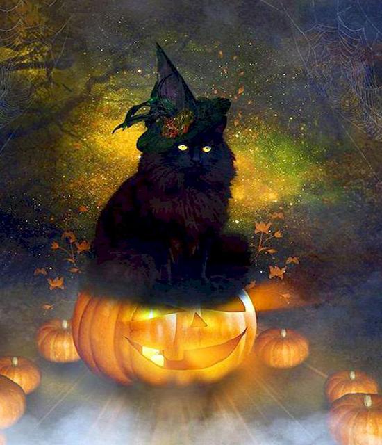 RUOPOTY Painting By Number Cat Animals DIY Frame Acrylic Handpainted Drawing On Canvas Autumn Pumpkin Gift Home Decoration