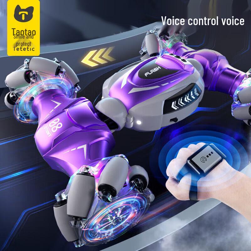 Gesture Sensing Stunt RC Car