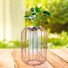 Nordic Lantern Shaped Wrought Iron Vase Glass Iron Tabletop Flower Vase(  Gold)