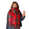 Autumn and winter models, new plaid scarves, high-end women's versatile shawls, plaid thickened scarves