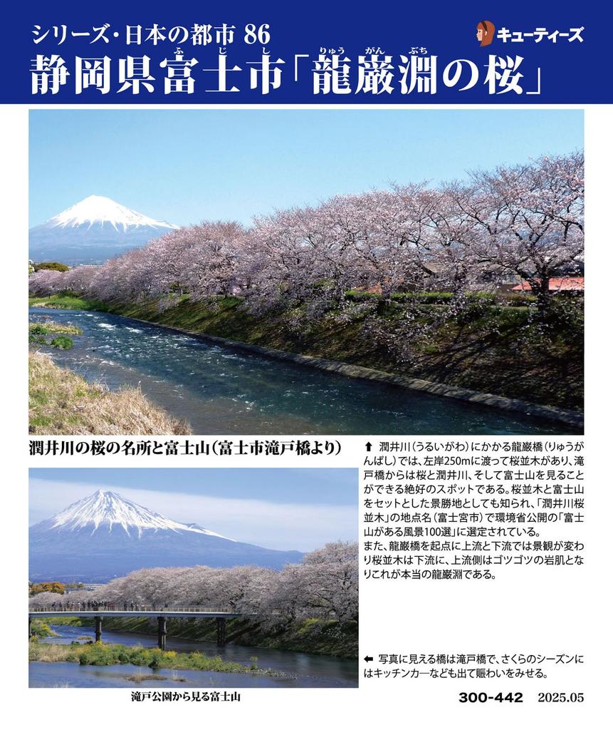 Cuties In 300 Piece Jigsaw Puzzle 86 Japanese Cities No Fuji Shizuoka Prefecture with Glue and Sponge [Made Japan] "Ryuganbuchi Sakura" City,