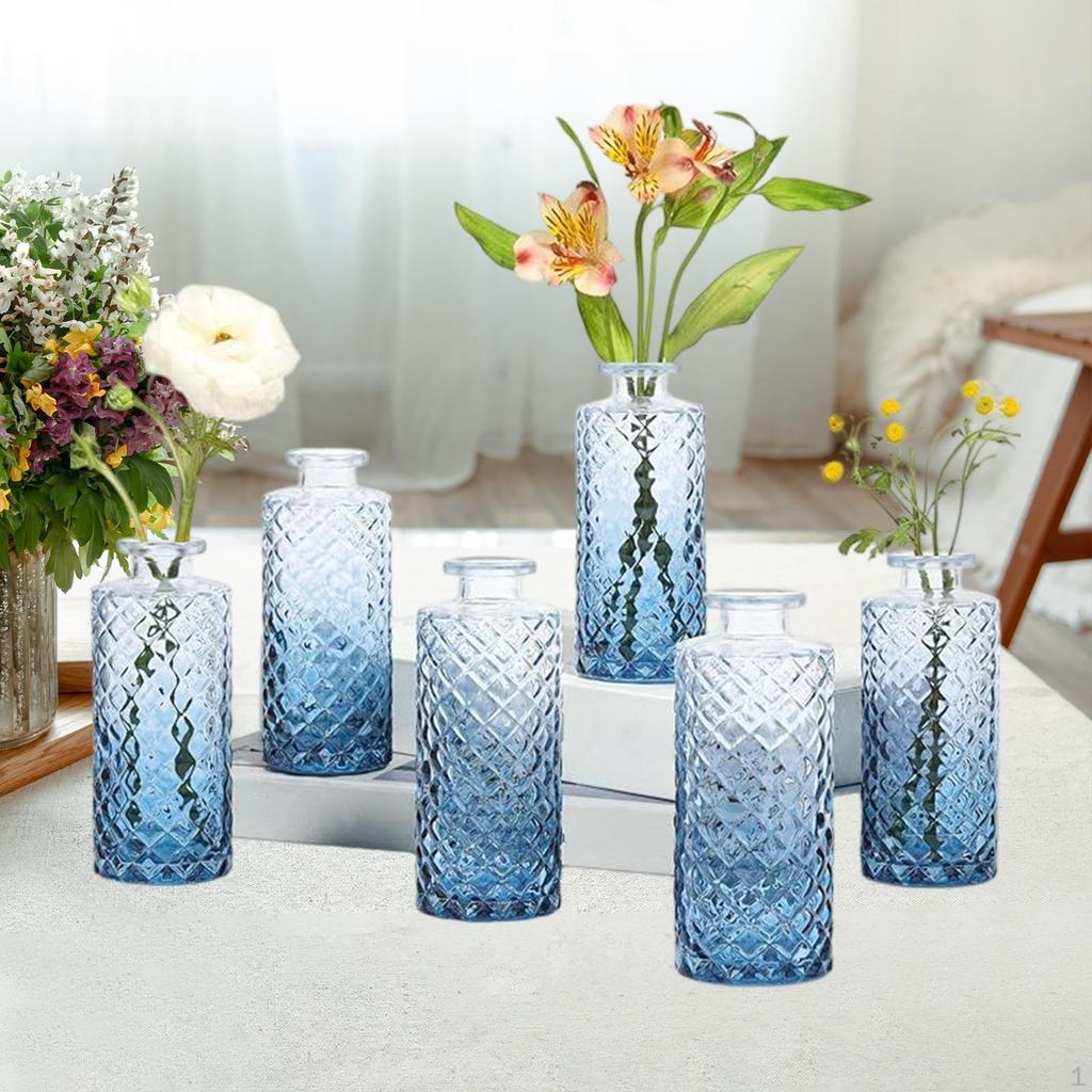 6 Glass Vases for Flowers, Mini Containers Arrangements, Table Decoration Interiors