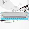 10?Hole Harmonica Blues Bb Key Harp Wind Musical Instrument Beginner Practice AM?20DBlue