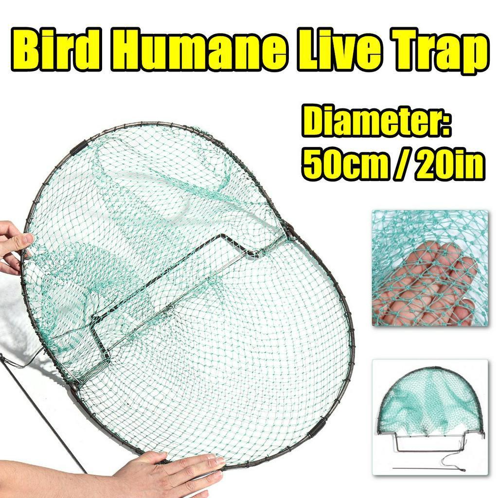 Nowa siatka na ptaki 50X45 cm Zielona Skuteczna Humanitarna Żywołapka Polowanie Czuła Przepiórka Humanitarne Odławianie Polowanie Artykuły Ogrodowe Zwalczanie Szkodników