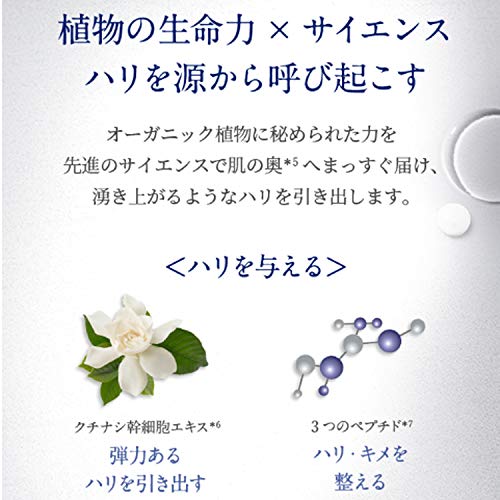 NEAL'S YARD REMEDIES Frankincense Intense Concentrate (Premium Anti-Aging Serum) 30ml