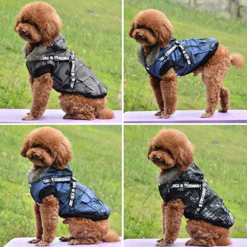 cute dog jackets