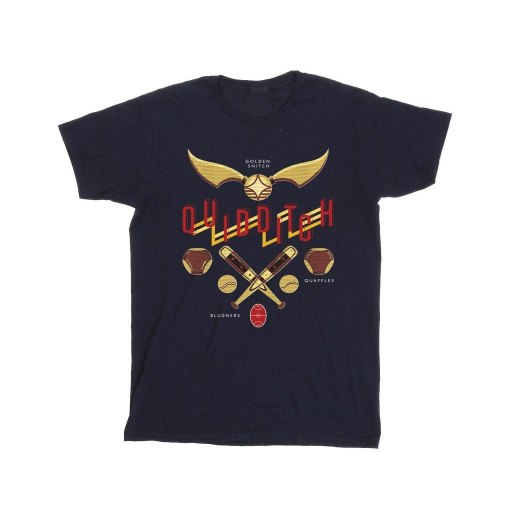 HARRY POTTER Mens Quidditch Golden Snitch T-Shirt