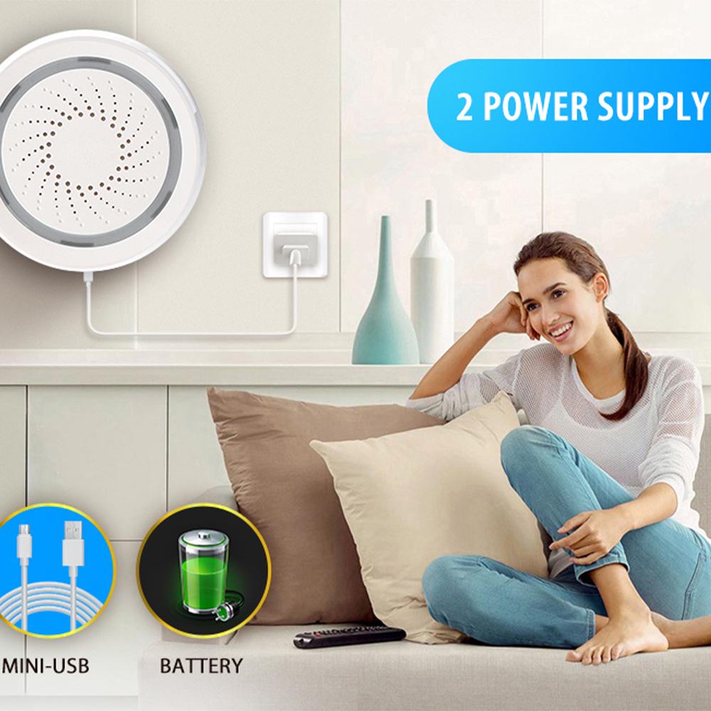 Graffiti WiFi Smart Temp & Humidity Sensor with Sound & Light Alarm